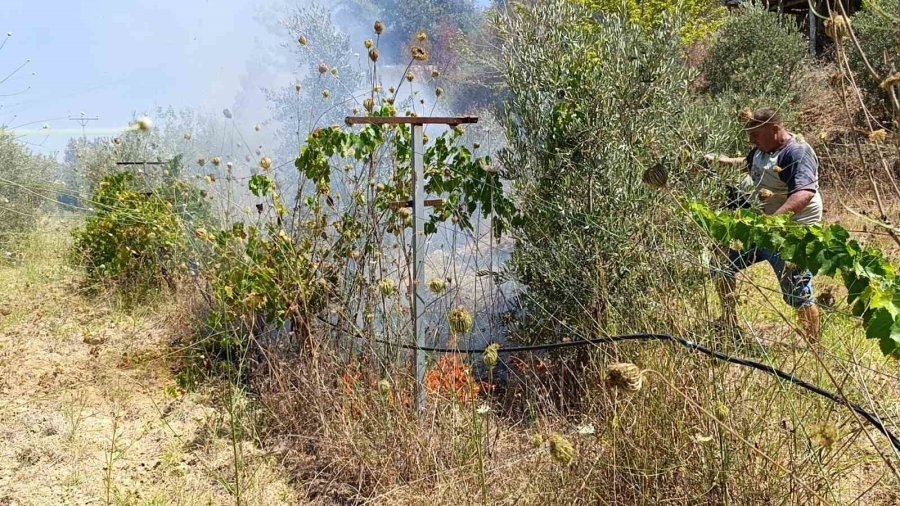 Anızlardan Makilik Alana Sıçrayan Yangın Yerleşim Yerlerine Ulaşmadan Söndürüldü