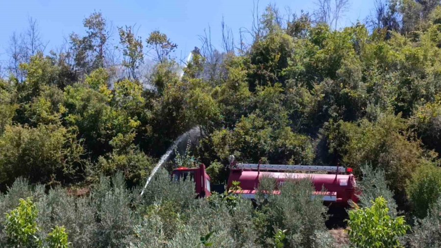 Anızlardan Makilik Alana Sıçrayan Yangın Yerleşim Yerlerine Ulaşmadan Söndürüldü