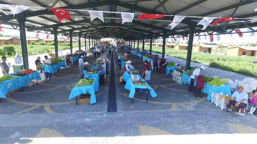 Büyükşehir’in Doğal Ürünler Bahçesi Kapılarını Açıyor