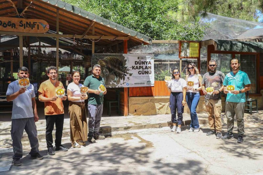 Bengal Kaplanları İçin Etten Pasta Yapıldı