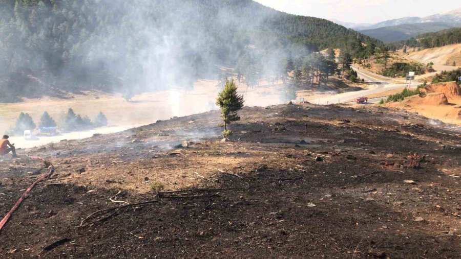 Antalya’da Yangın Kızılçam Ormanına Sıçramadan Söndürüldü