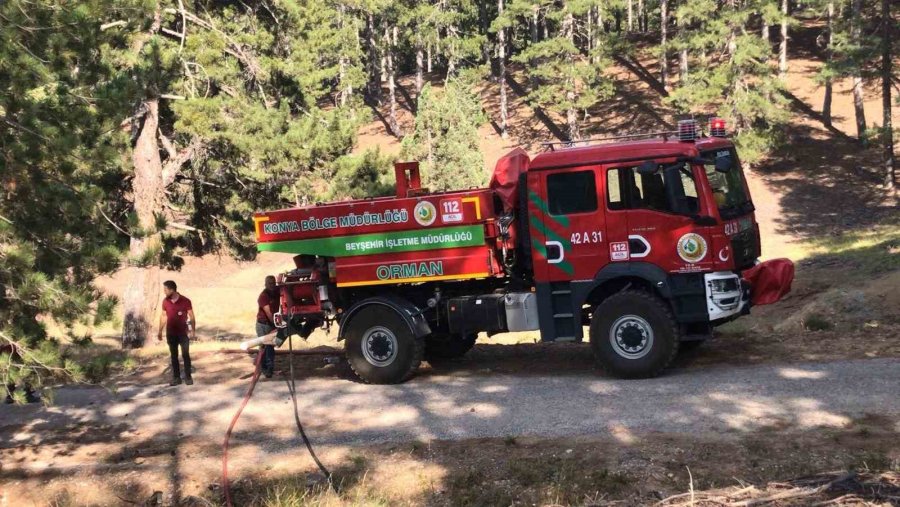 Antalya’da Yangın Kızılçam Ormanına Sıçramadan Söndürüldü