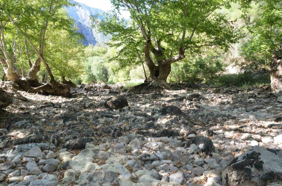 Antalya’da Kuraklık Üzümdere Irmağını Vurdu