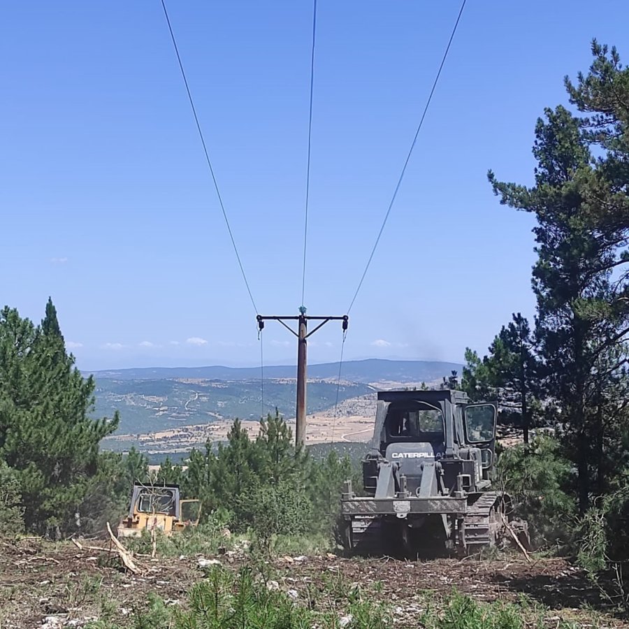 Ormanlık Alanlardaki Enerji Nakil Hatlarının Altında Temizlik Ve Budama Yapılıyor