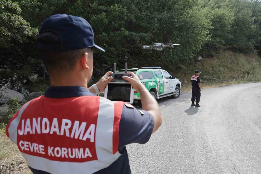 Jandarma Orman Yangınlarına Karşı Teyakkuzda