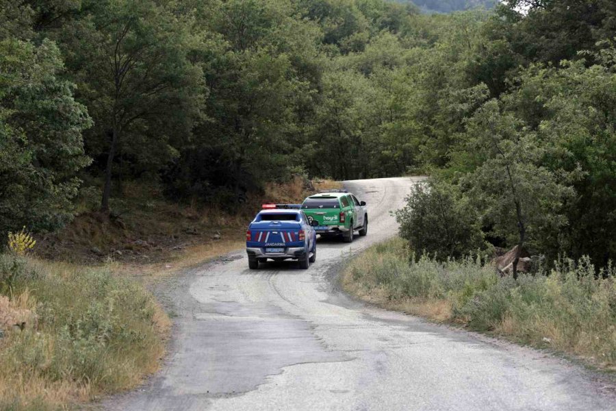 Jandarma Orman Yangınlarına Karşı Teyakkuzda