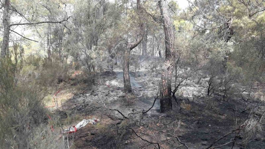 Antalya Kemer’de Çıkan Orman Yangını Kontrol Altına Alındı