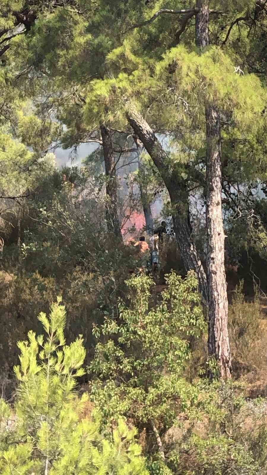 Antalya Kemer’de Çıkan Orman Yangını Kontrol Altına Alındı