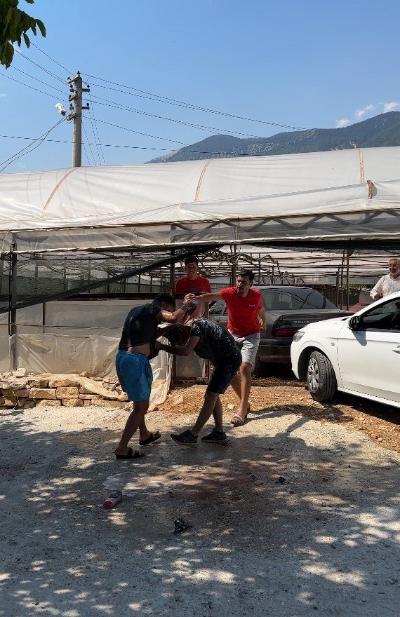 Damadı Evleneceğine Pişman Ettiler, Ketçap, Sirke Ve Gres Yağına Buladılar