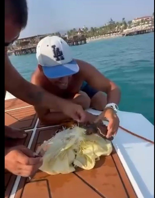 Alanya’da Çuvala Dolanan Caretta Caretta Yavrusu Kurtarıldı