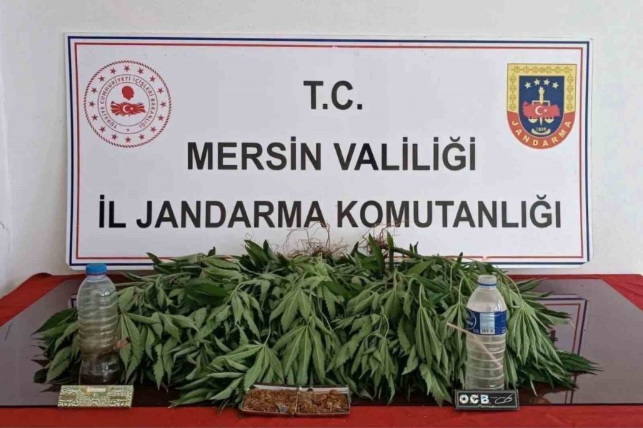 Mersin’de Uyuşturucu Operasyonu: 6 Gözaltı