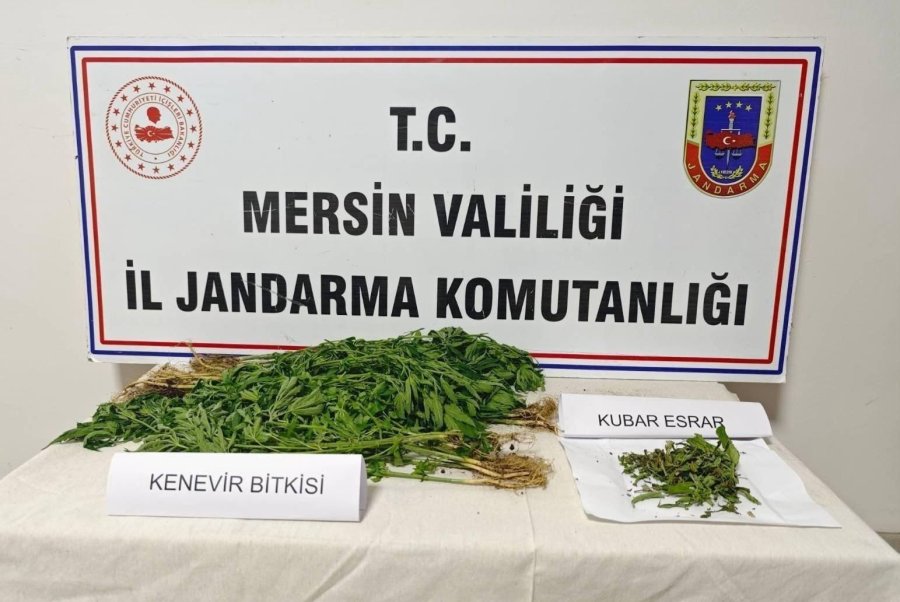 Mersin’de Uyuşturucu Operasyonu: 6 Gözaltı