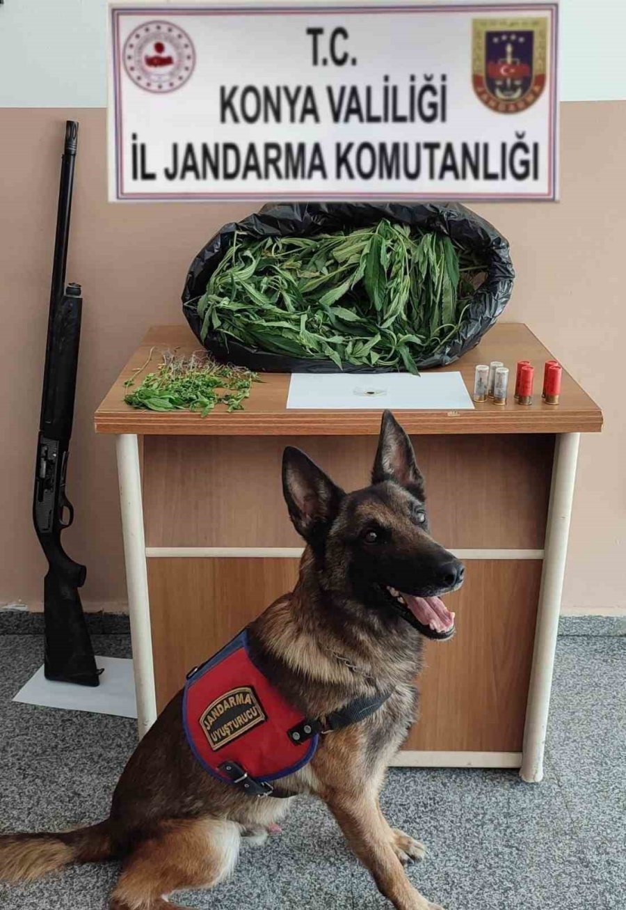 Konya’da Jandarmadan Uyuşturucu Operasyonu