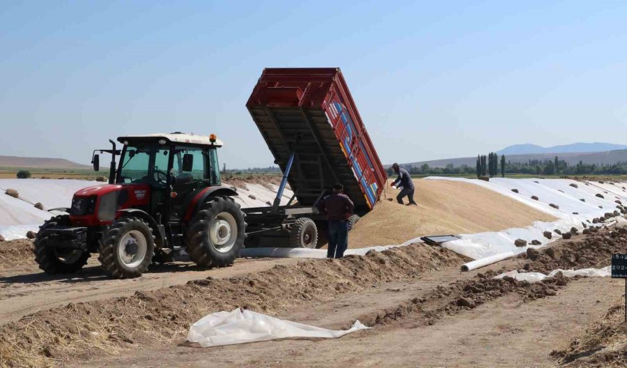 Geçtiğimiz Yıl Rekor Kıran Tmo’da Hububat Alımları Devam Ediyor