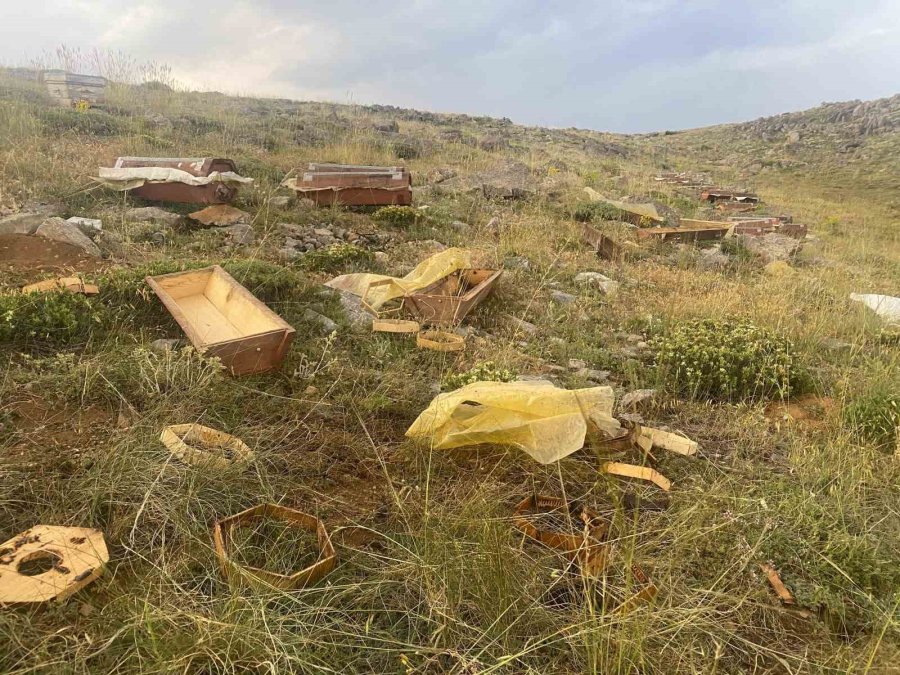 Konya’da 2 Bin 500 Rakımda Ayılar 6 Kovanı Parçaladı