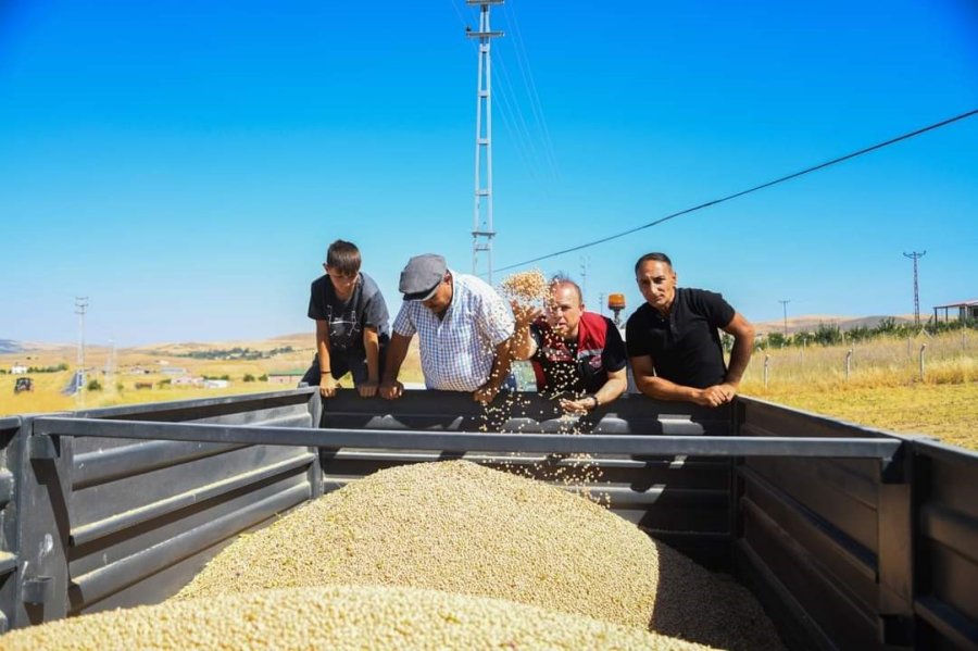 İl Müdürü Saklav, Çiftçilerle Hasat Yaptı