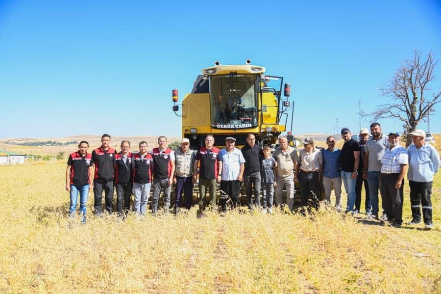 İl Müdürü Saklav, Çiftçilerle Hasat Yaptı