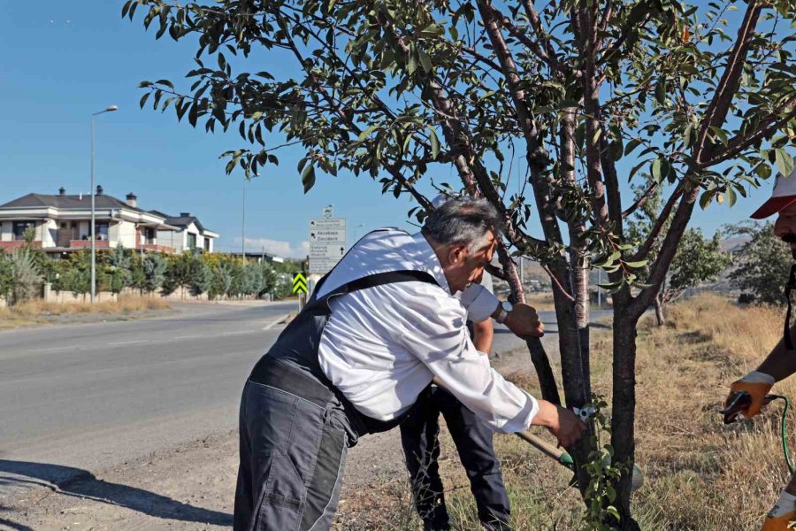 Talas’ın Bahçıvan Başkanı