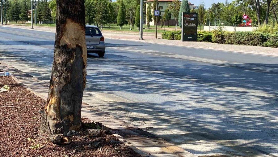 Konya’da 2 Kişinin Öldüğü Trafik Kazası Güvenlik Kamerasına Yansıdı