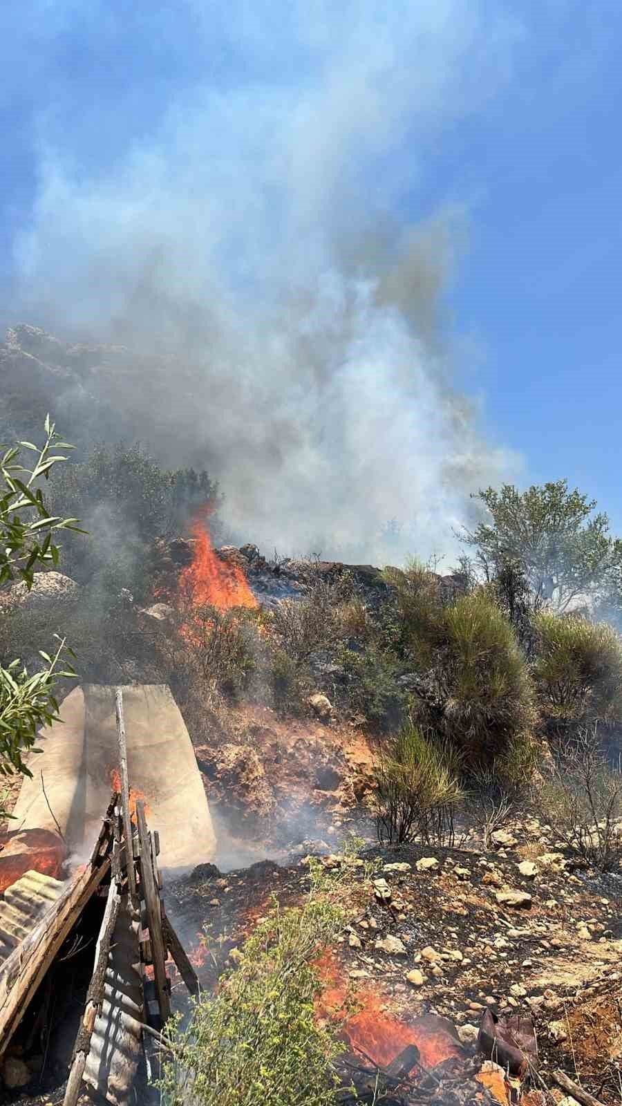 Mersin’de Orman Yangını, Alevler Evleri Teğet Geçti