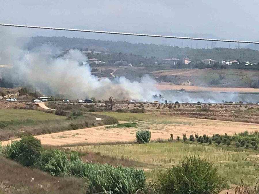 Sigara İzmariti Yangına Neden Oldu, Dumanlar Karayolunu Kapladı