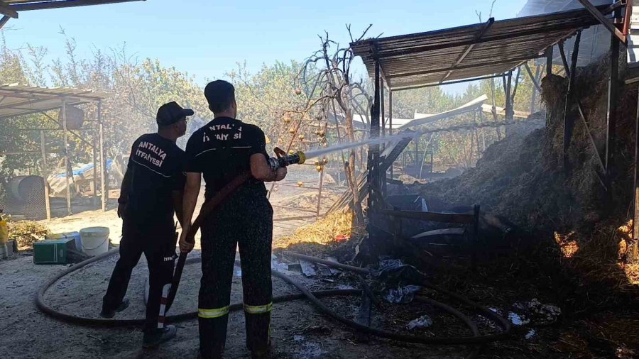 Antalya’da Ahır Yangını: 3 İnek, 12 Keçi Telef Oldu