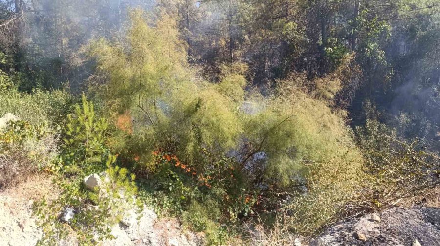 Mersin Silifke’deki Orman Yangını Kısmen Kontrol Altına Alındı