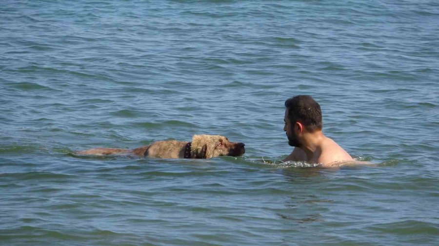 Mersin’de Sıcak Hava Bunaltıyor