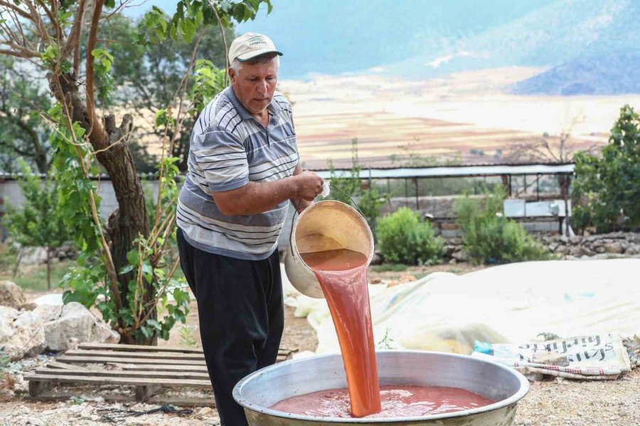 Çiftçilere Salça Ve Üzüm Sıkma Makinesi Desteği