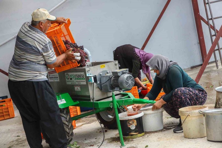 Çiftçilere Salça Ve Üzüm Sıkma Makinesi Desteği