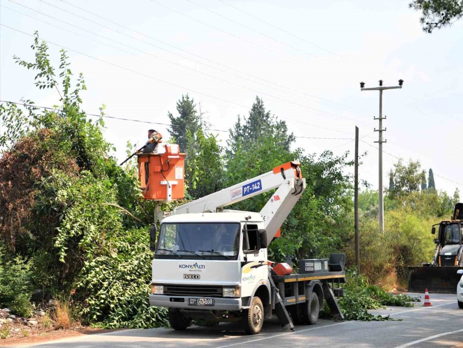 Konyaaltı’nda Tehlike Oluşturan Ağaçlar Budanıyor