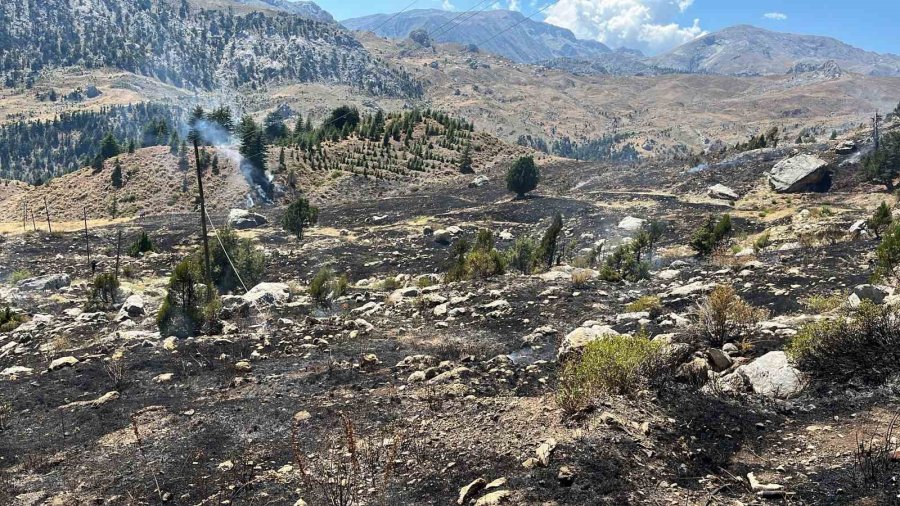 Alanya’da Makilik Alanda Çıkan Yangın Ormana Sıçramadan Söndürüldü