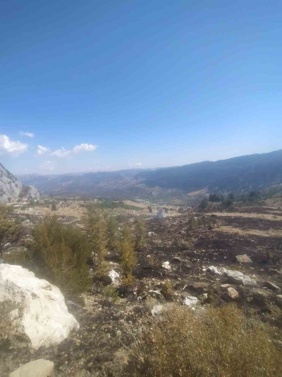 Alanya’da Makilik Alanda Çıkan Yangın Ormana Sıçramadan Söndürüldü