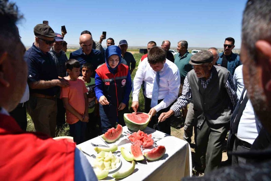 Karaman’da Karpuz Hasadı Başladı