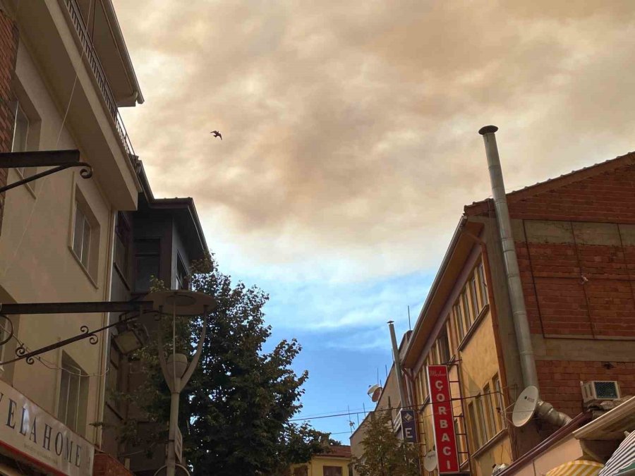 Bolu’daki Orman Yangınının Dumanı Eskişehir Semalarını Kapladı, Vatandaşlar Panik Yaşadı