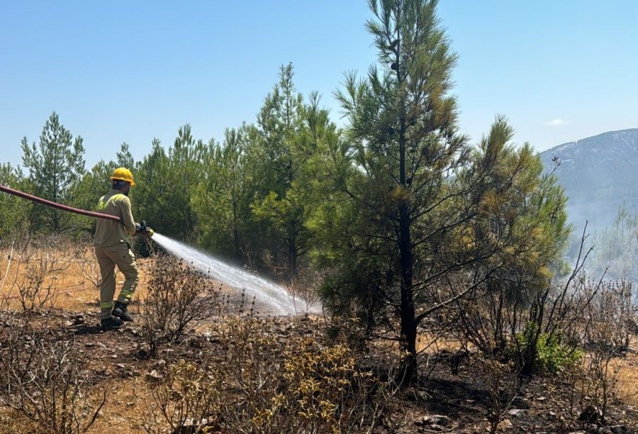 Mersin’de 4 Ayrı Noktada Çıkan Orman Yangınları Söndürüldü