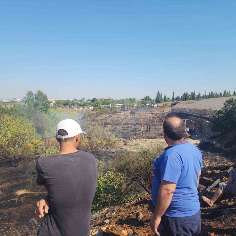 Zeytinlikte Çıkan Yangın Evlere Ulaşmadan Söndürüldü