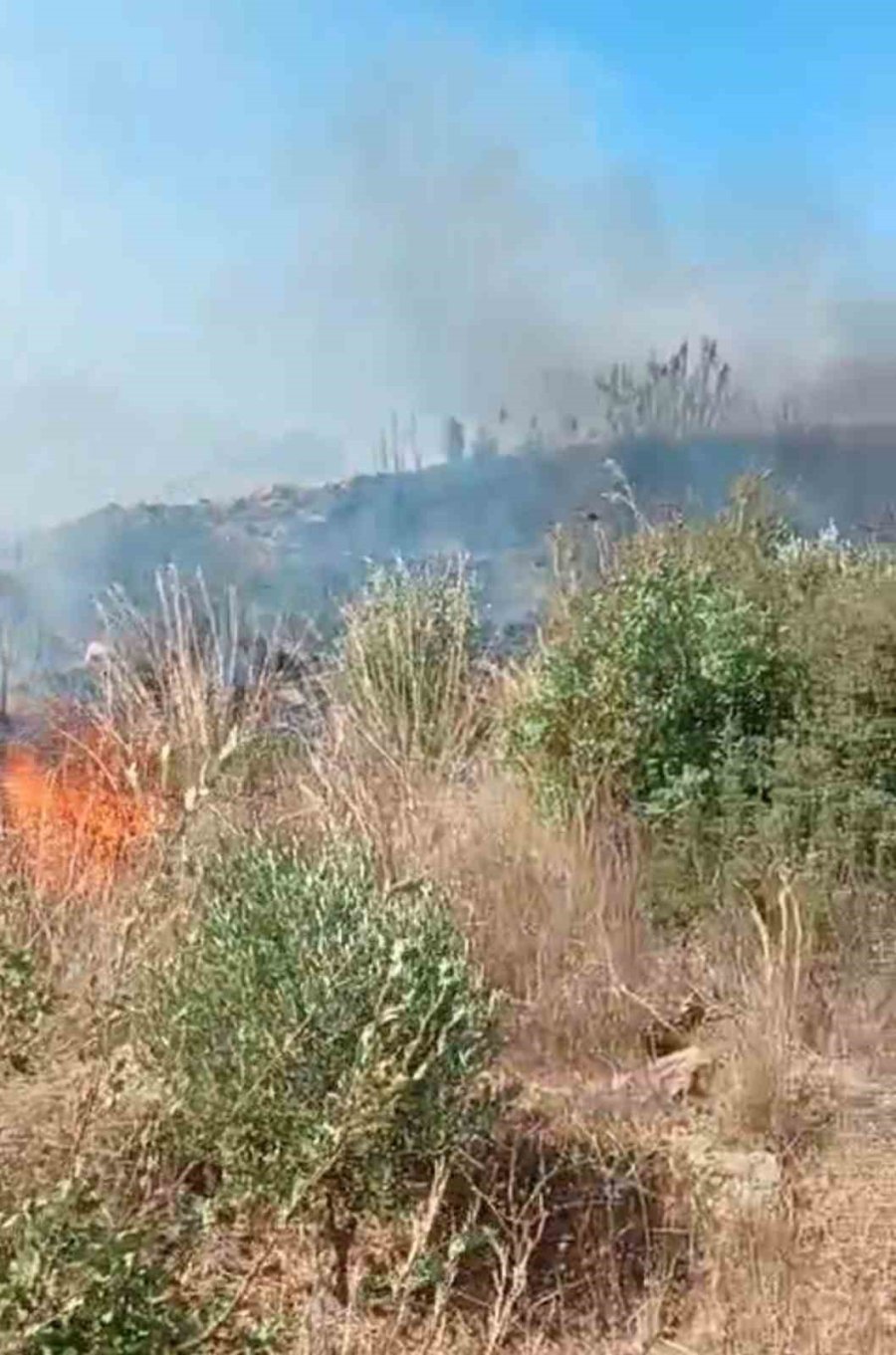 Gazipaşa’da Bahçede Çıkan Yangın Ekiplerinin Müdahalesiyle Söndürüldü