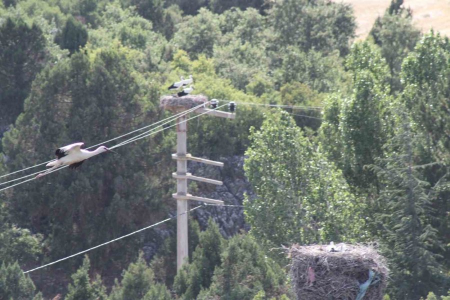 Leylekler Vadisi’nde “lak Lak” Sesleri Sustu