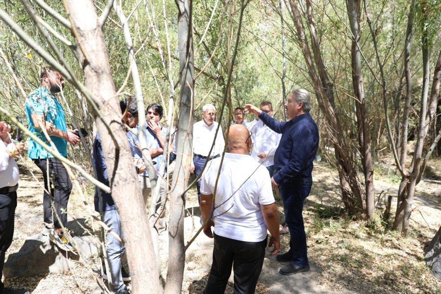 Kırlangıç Vadisi Turizme Kazandırılacak