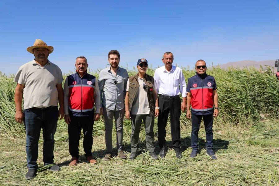 Niğde’de Sorgum-sudan Otunun Hasadı Yapıldı