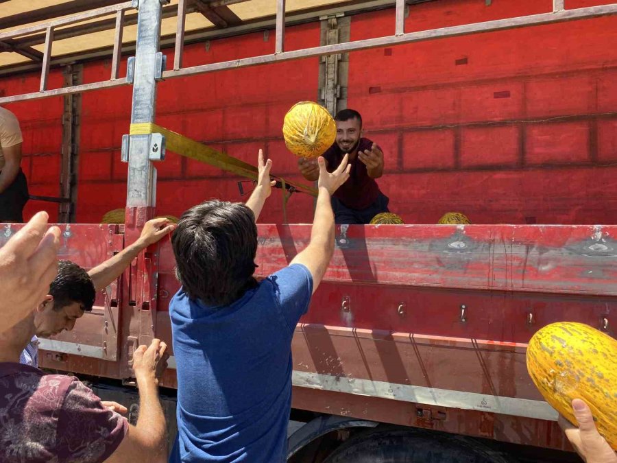 Hal Esnafı Düşük Fiyat Verince 20 Ton Kavunu Vatandaşa Ücretsiz Dağıttı