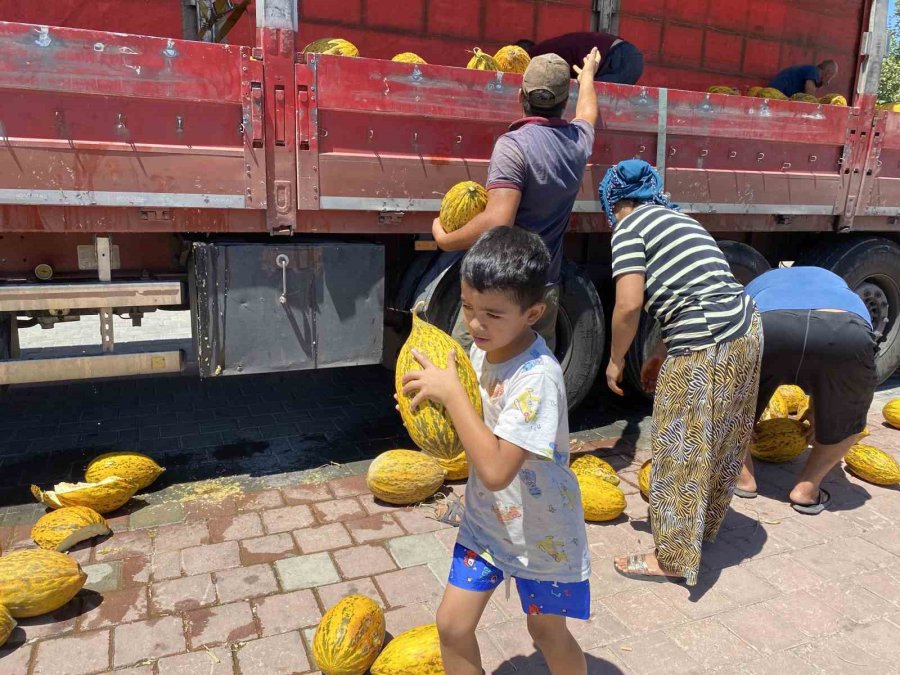 Hal Esnafı Düşük Fiyat Verince 20 Ton Kavunu Vatandaşa Ücretsiz Dağıttı