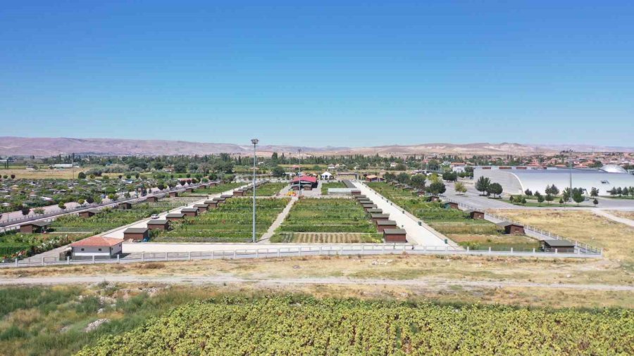 Organik Lezzetin Adresi: Büyükşehir Doğal Ürünler Bahçesi