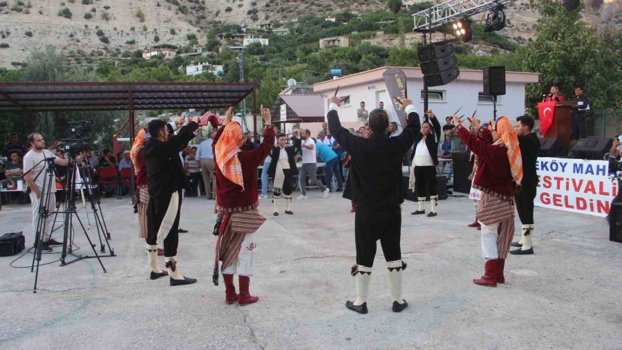 Mersin’in Mut İlçesinde 29’uncu İncir Festivali Düzenlendi