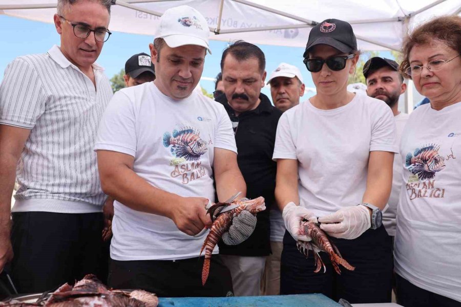 Antalya’da 4. Aslan Balığı Yakalama Ve Tadım Etkinliği