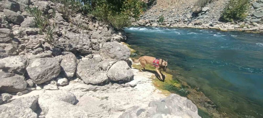 Köprü Çay’da Kaybolan Genci Arama Çalışmaları Sürüyor