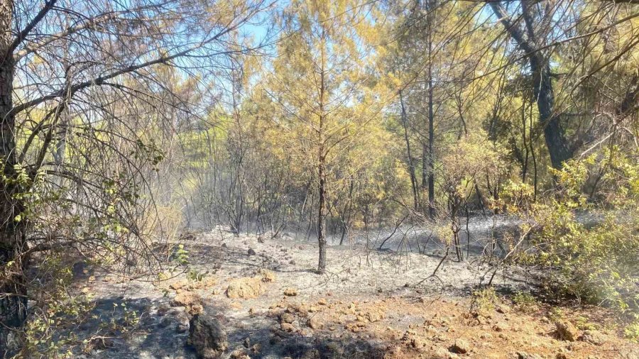 Antalya’da 2 Dönüm Ormanlık Alan Yandı