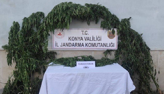 Konya’da Jandarmadan Uyuşturucu Operasyonu: 5 Gözaltı