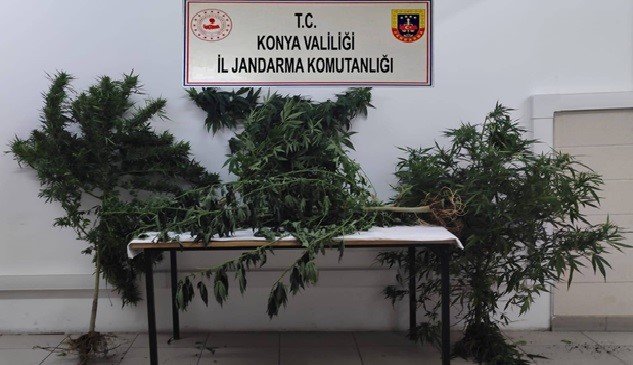 Konya’da Jandarmadan Uyuşturucu Operasyonu: 5 Gözaltı